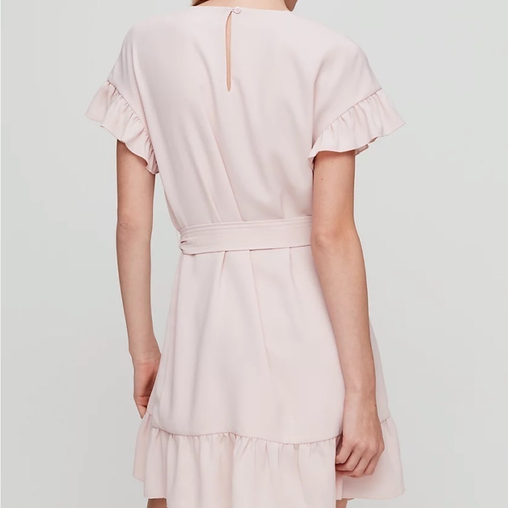 Aritzia Pink Ruffle Mini Dress - Picture 8 of 14